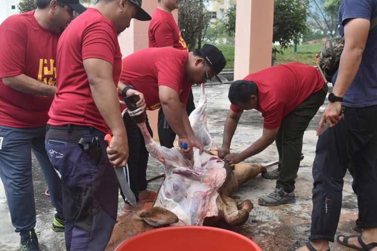 qurban 2