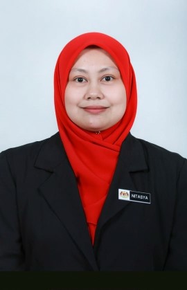 hsdg nopic