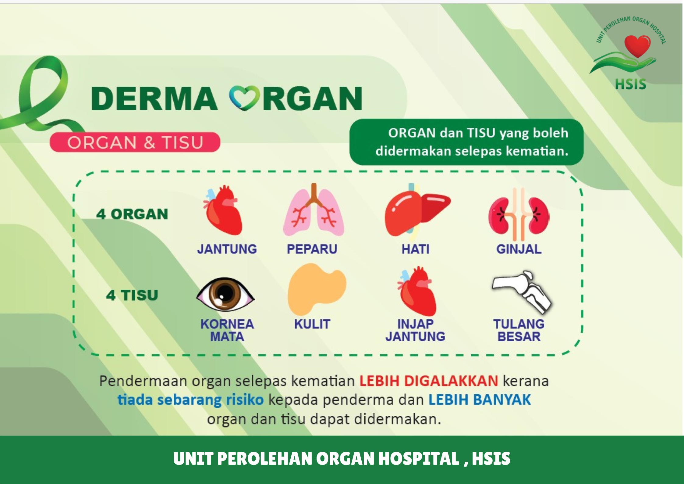 Derma Organ 2026